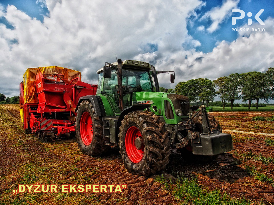 Dowiedz się więcej o małym spisie rolnym. Fot. ilustarcyjna/pixabay.com