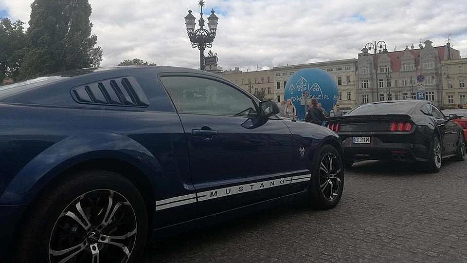 Mustangi można było podziwiać na ul. Mostowej w Bydgoszczy. Fot. Monika Siwak-Waloszewska